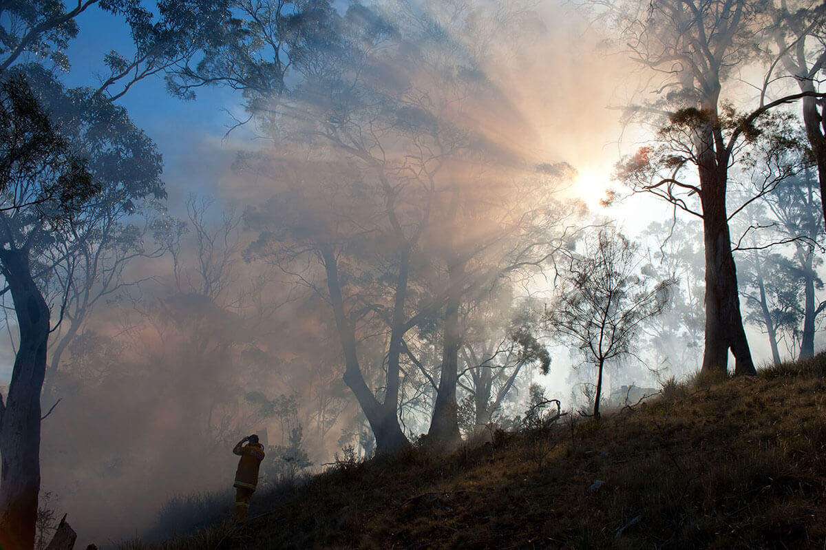 Forecasts and restrictions